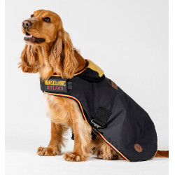 Hundedecke Horseware Newmarket