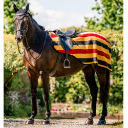 Horseware Newmarket Polarfleece-Nierendecke