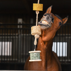 Unterstützen Sie Natural'Rock Natural'Innov