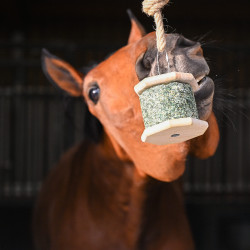 Unterstützen Sie Natural'Rock Natural'Innov