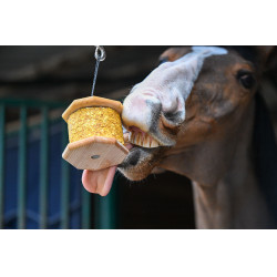 Unterstützen Sie Natural'Rock Natural'Innov