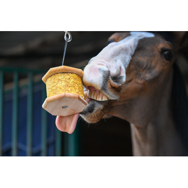 Unterstützen Sie Natural'Rock Natural'Innov