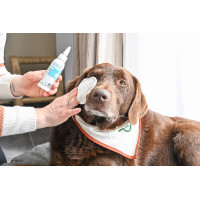 Sieh Glücklich Scoop