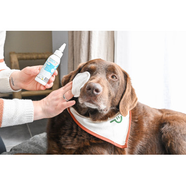 Sieh Glücklich Scoop