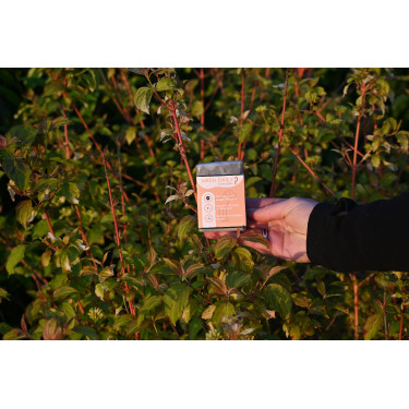 Tägliche Wäsche Happy Scoop