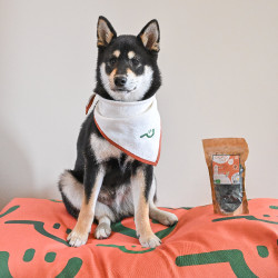 Knusprige Spitze Glücklicher Löffel