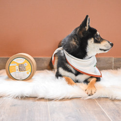 Urinier Glücksschaufel