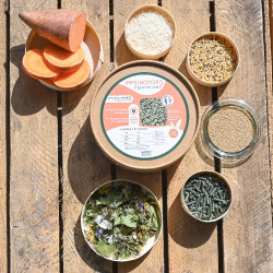 Immunotop Happy Scoop