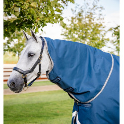 Horseware Ionic Therapy Turnout 100g Decke Bleu imperial / argent /Marine Blau