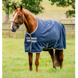 Horseware Amigo Ripstop 900D Turnout 200g Decke Marine / Titan Grau Marineblau