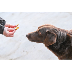 Natural'Crackers Moov Natural'Innov