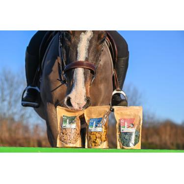 Natural'Crackers Verdauung Natural'Innov