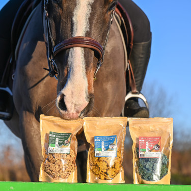 Natural'Crackers Verdauung Natural'Innov