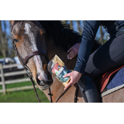 Natural'Crackers Verdauung Natural'Innov