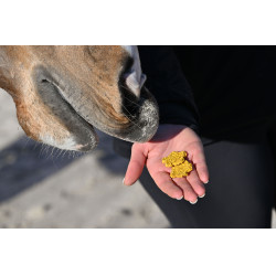 Natural'Crackers Verdauung Natural'Innov