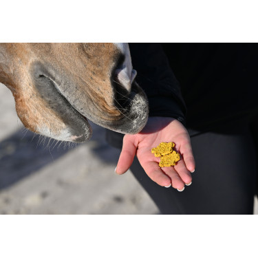 Natural'Crackers Verdauung Natural'Innov