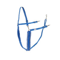 Großer Y-Riemen Finn-Tack synthetisch mit Paspel Blau / Weiß