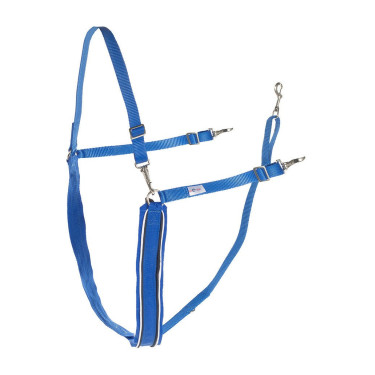 Großer Y-Riemen Finn-Tack synthetisch mit Paspel Blau / Weiß