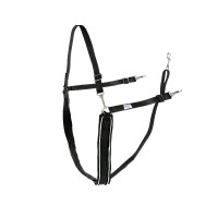 Großer Y-Riemen Finn-Tack synthetisch mit Paspel Blau / Weiß Großer Y-Riemen Finn-Tack synthetisch mit Paspel Blau / Weiß