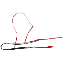 Rennhalsband Race Zilco Federgewicht