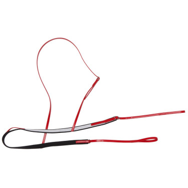 Rennhalsband Race Zilco Federgewicht