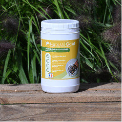 Natural'Coat Farblos Natural'Innov