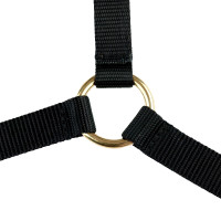 Licol Yankee Finn-Tack Pro nylon avec muserolle ouverte Noir / vert foncé