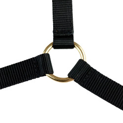 Yankee-Halfter Finn-Tack Pro Nylon mit offenem Nasenriemen Schwarz