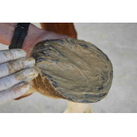 Magic Pieds Nutragile