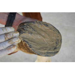 Magic Pieds Nutragile Magic Pieds Nutragile