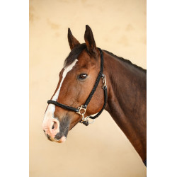 Halfter Hups Harcour Schwarz