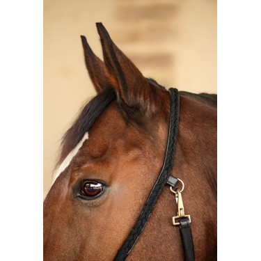 Halfter Hups Harcour Schwarz