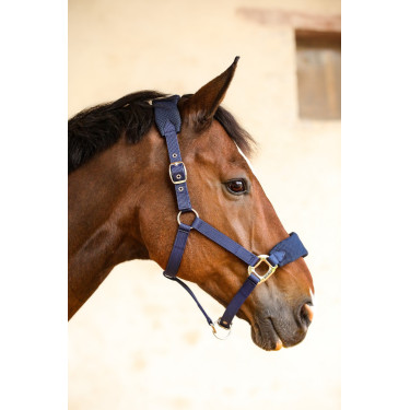 Halter Hega Harcour