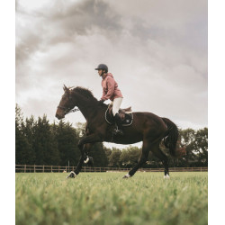 Regenjacke Raintech Horse Pilot Damen Rosa Mesa Regenjacke Raintech Horse Pilot Damen Rosa Mesa