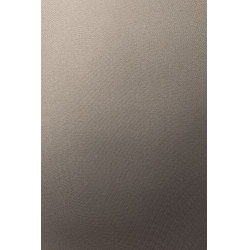 Reitleggings B Vertigo Viktoria nahtlos Damen Vollbesatz Grip Heißes Basilikum Rosa