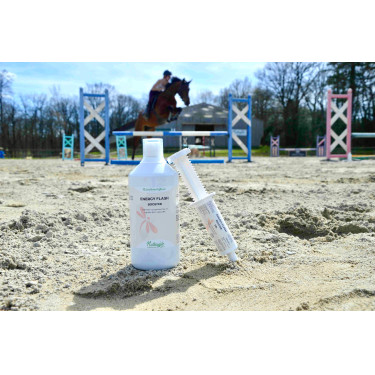 Nutragile Energy Flash-Booster Nutragile Energy Flash-Booster