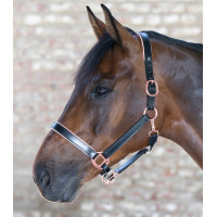 Lederhalfter Rosé Waldhausen X-Line Schwarz