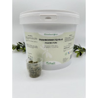 Himbeerstrauch Nutragile Himbeerstrauch Nutragile