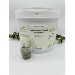 Himbeerstrauch Nutragile Himbeerstrauch Nutragile