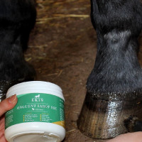 Hufsalbe trockener Huf Eimer Ekin Hufsalbe trockener Huf Eimer Ekin