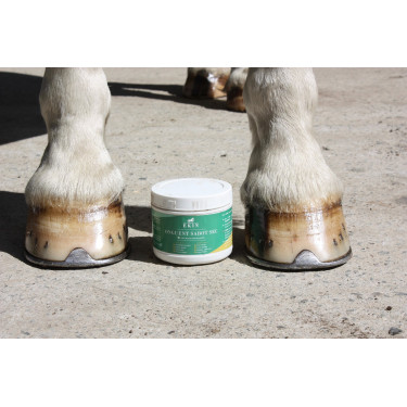 Hufsalbe trockener Huf Eimer Ekin