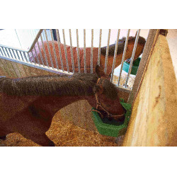 Eck-Futtertrog La Gee 21 l