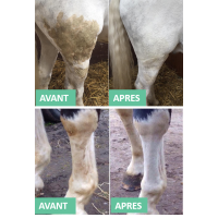 Fleckentferner für Pferdedecke und Schweif Ekin