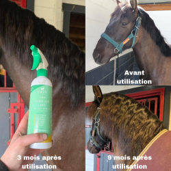 Mähnenpflegespray Ekin Mähnenpflegespray Ekin