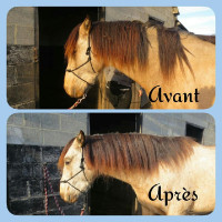 Mähnenpflegespray Ekin