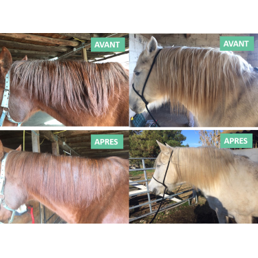 Mähnenpflegespray Ekin Mähnenpflegespray Ekin