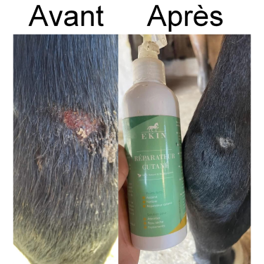 Ekin Hautreparaturspray Ekin Hautreparaturspray