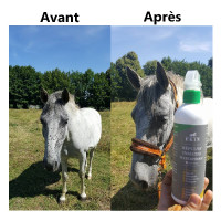 Insektenschutzspray Ekin Insektenschutzspray Ekin