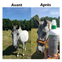 Insektenschutzspray Ekin Insektenschutzspray Ekin