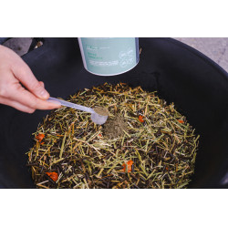 Ergänzungsfuttermittel Alodis Care Horse Complexe